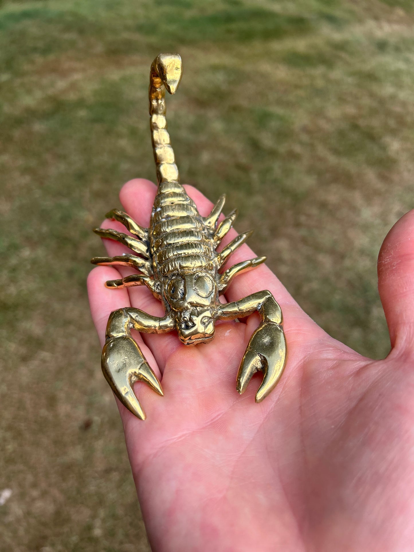 Scorpion 14cm