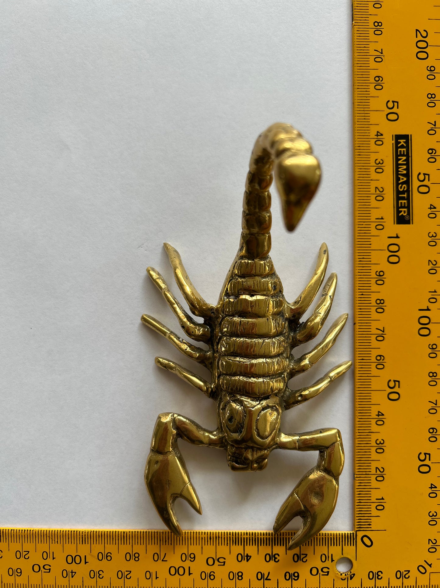 Scorpion 14cm
