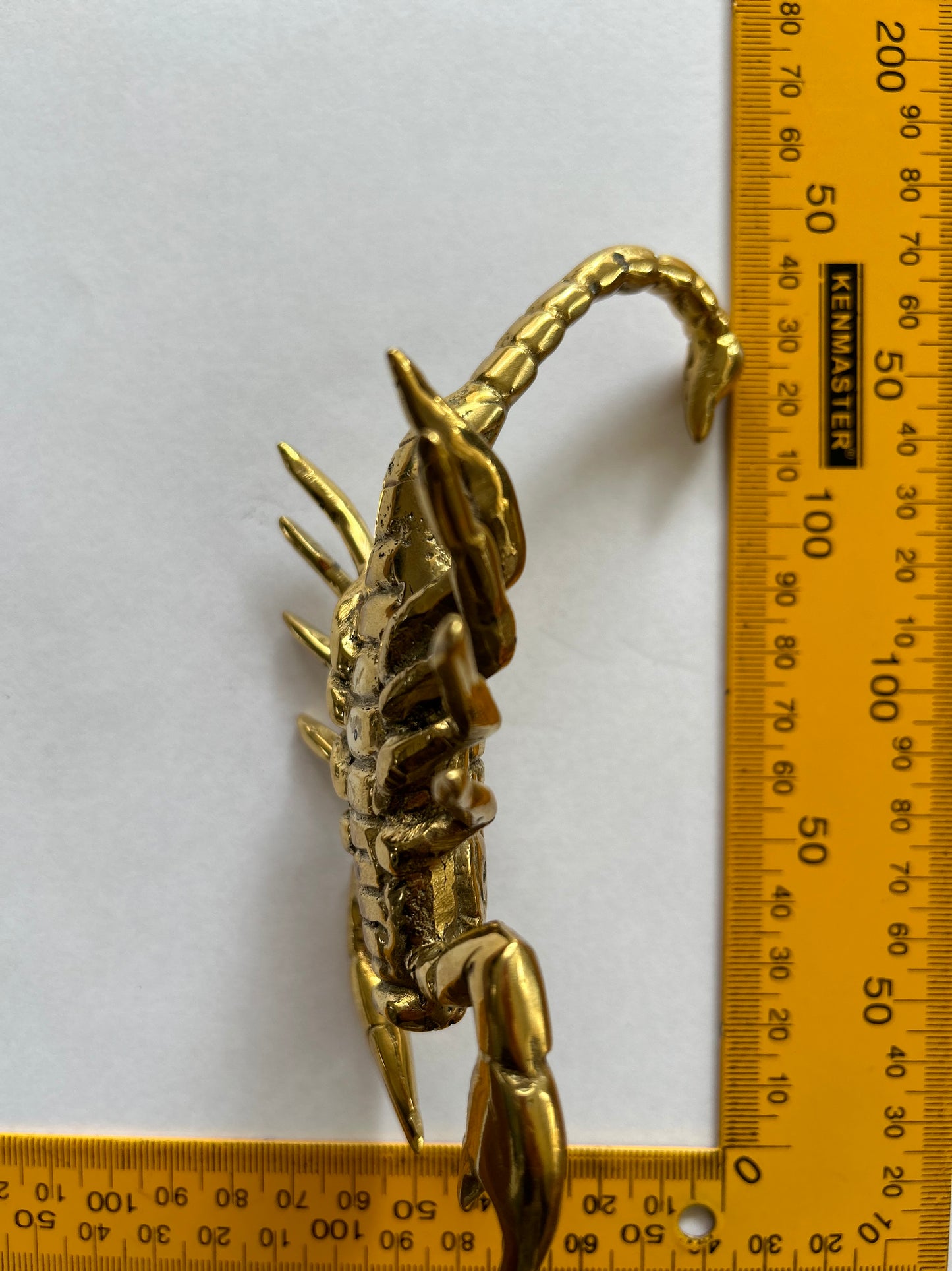 Scorpion 14cm