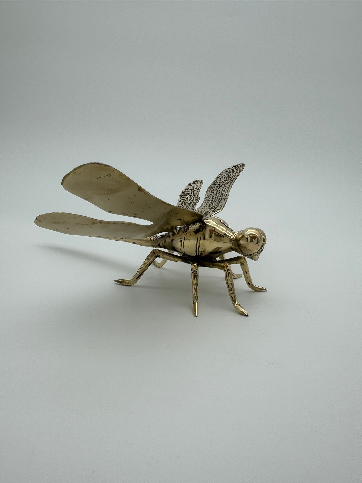 Dragonfly 23cm