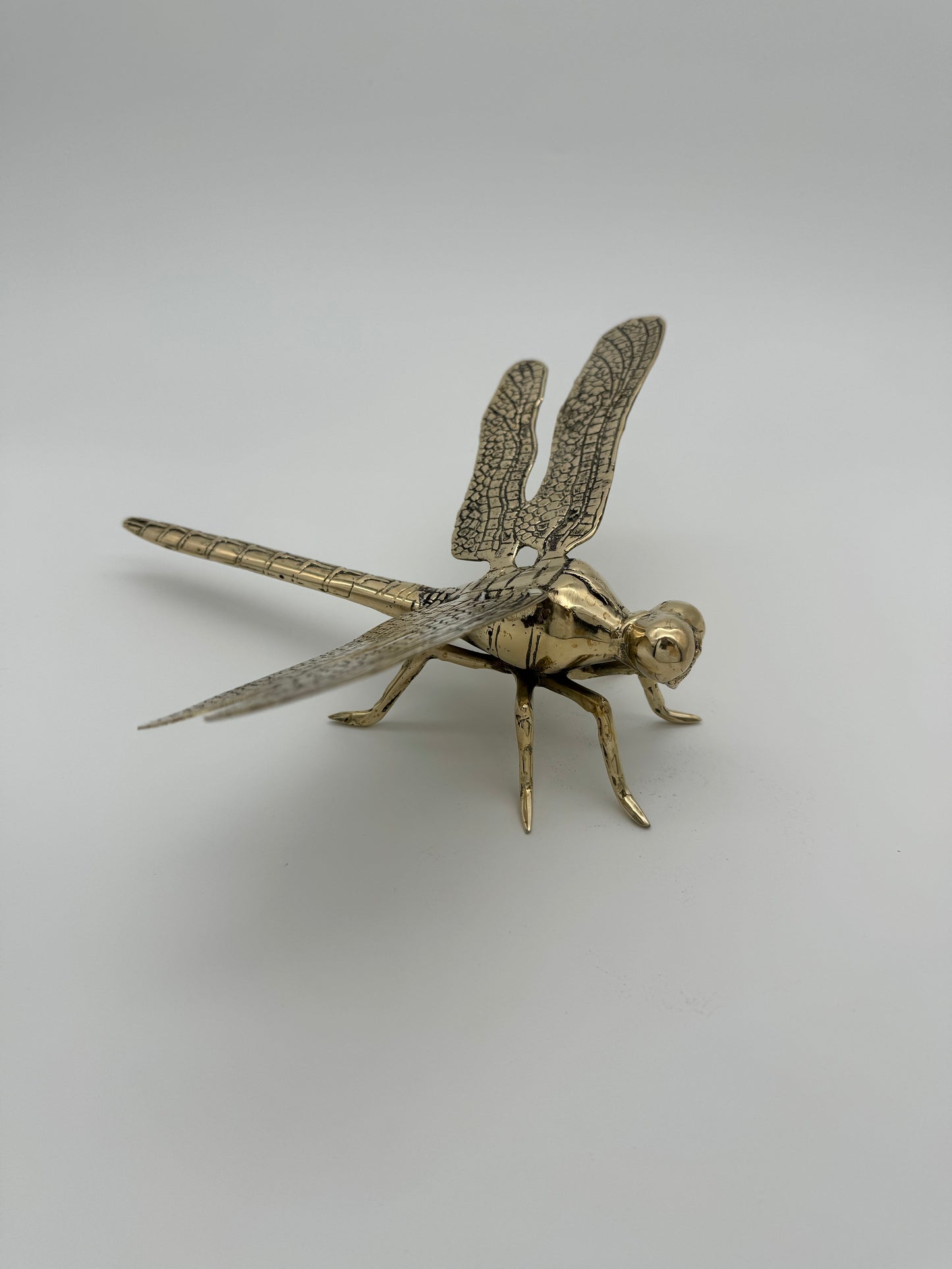 Dragonfly 23cm