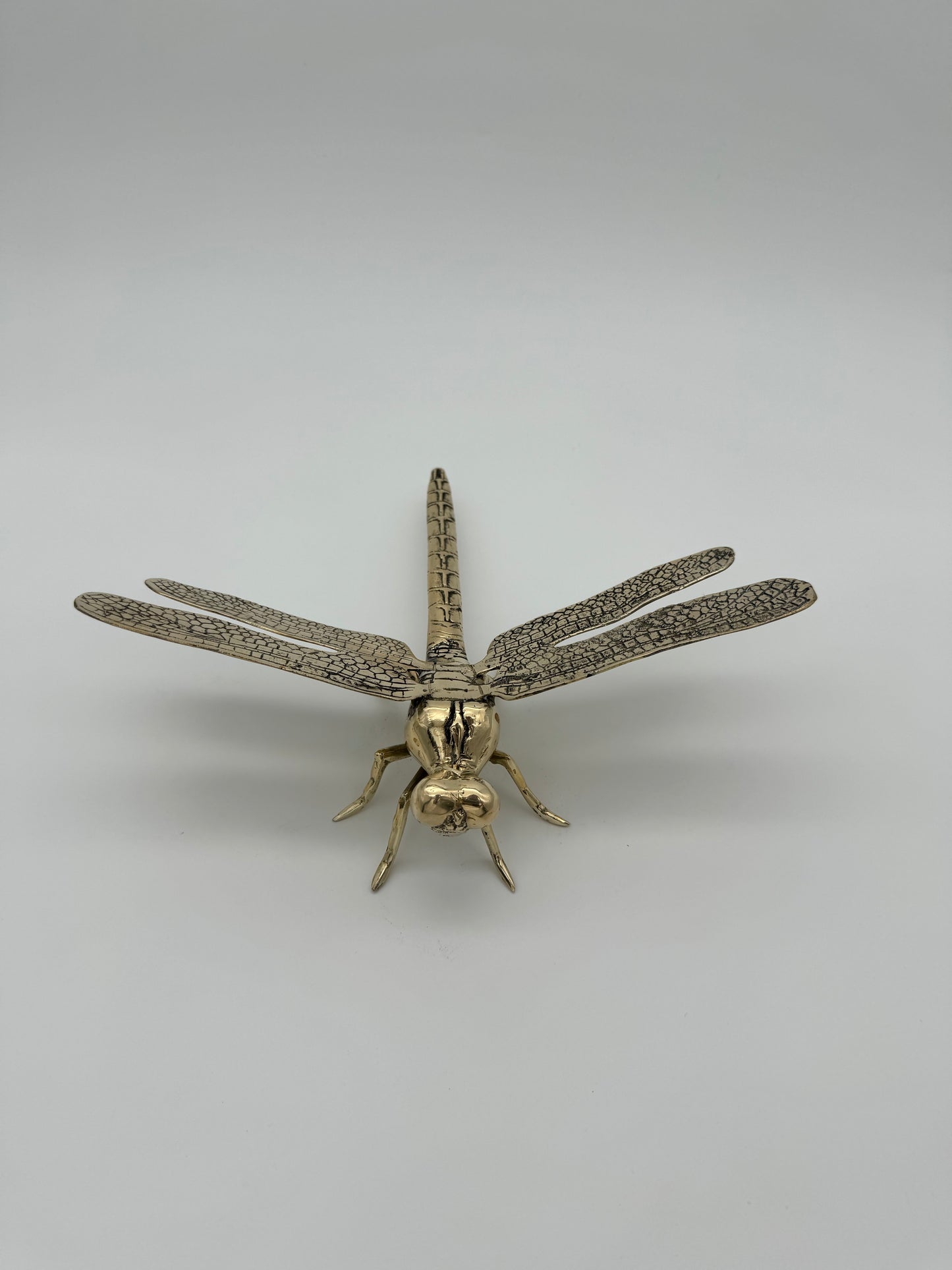 Dragonfly 23cm
