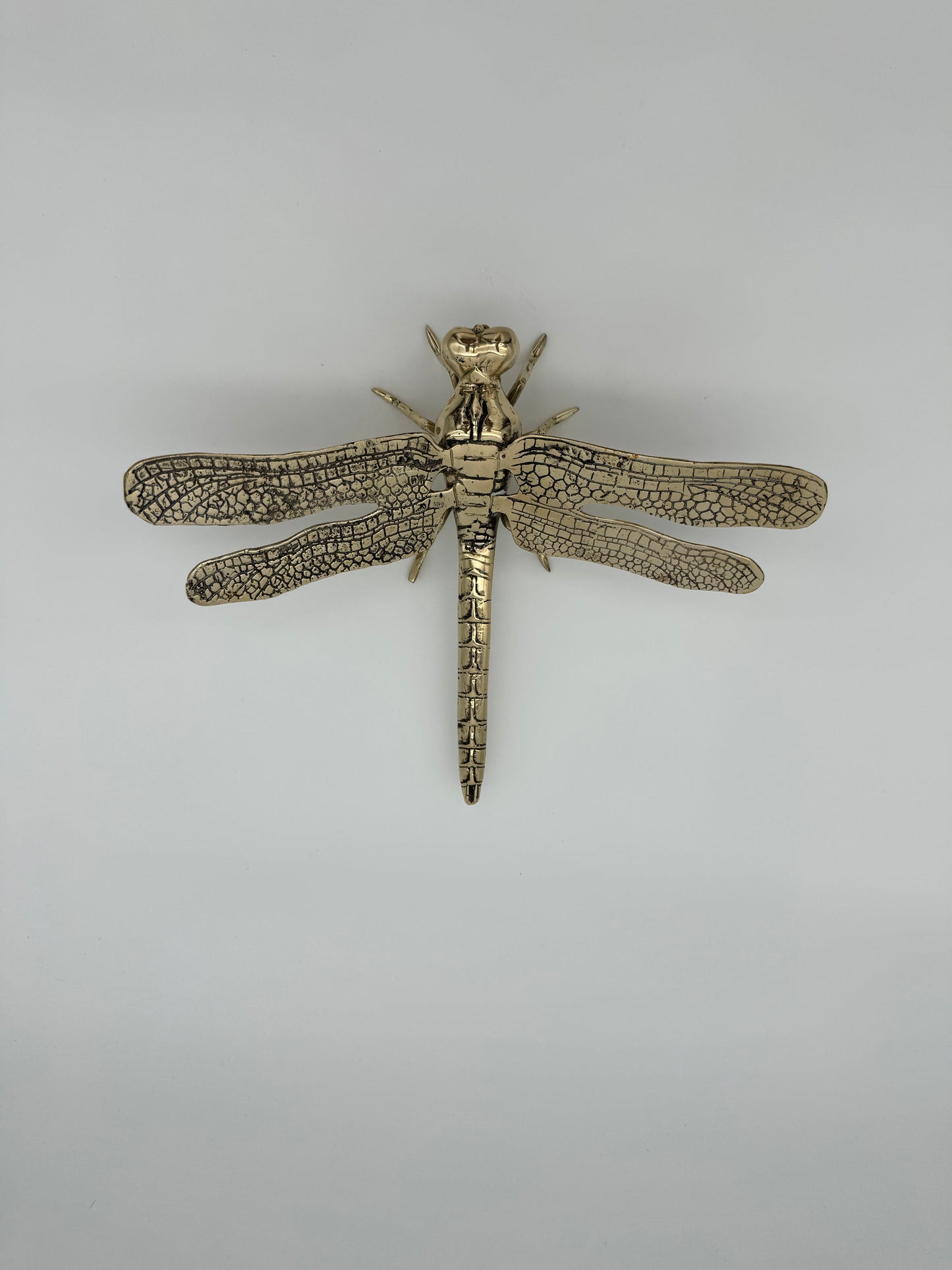 Dragonfly 23cm