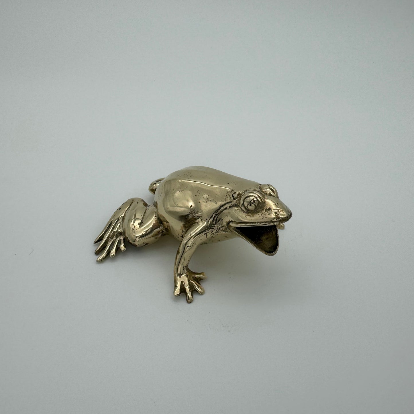 Frog with mouth open