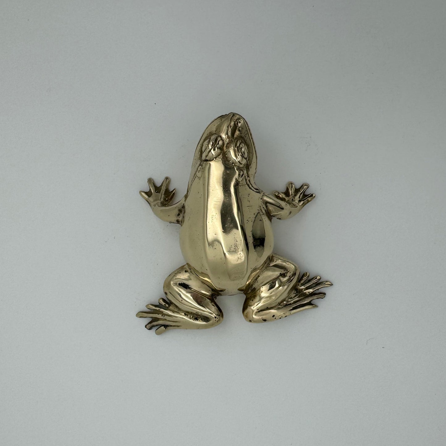 Frog with mouth open