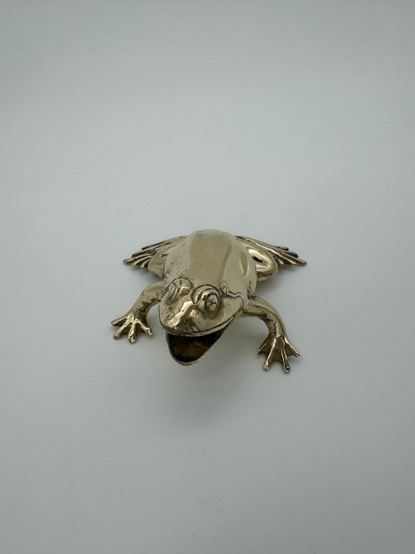 Frog with mouth open