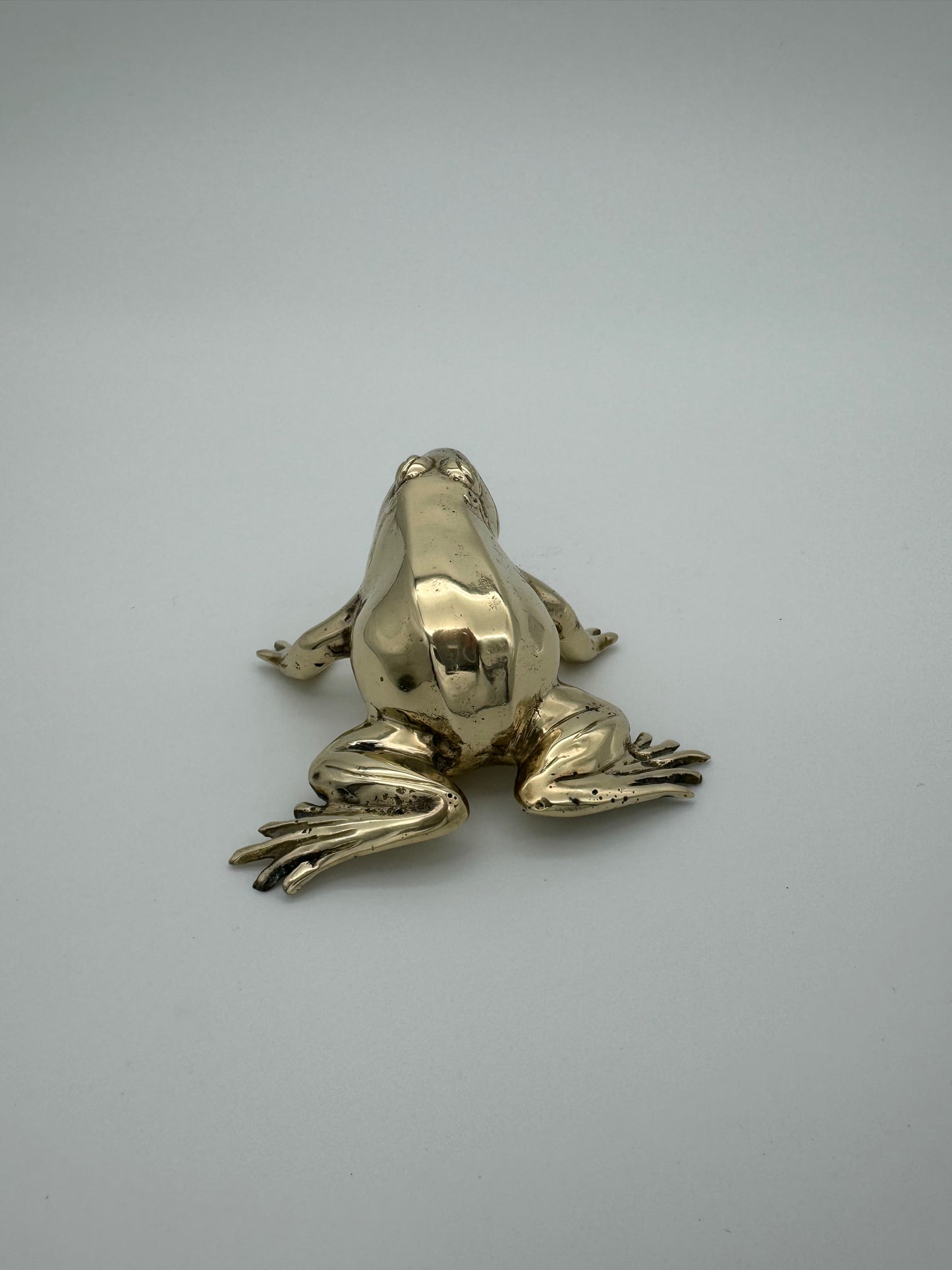 Frog with mouth open