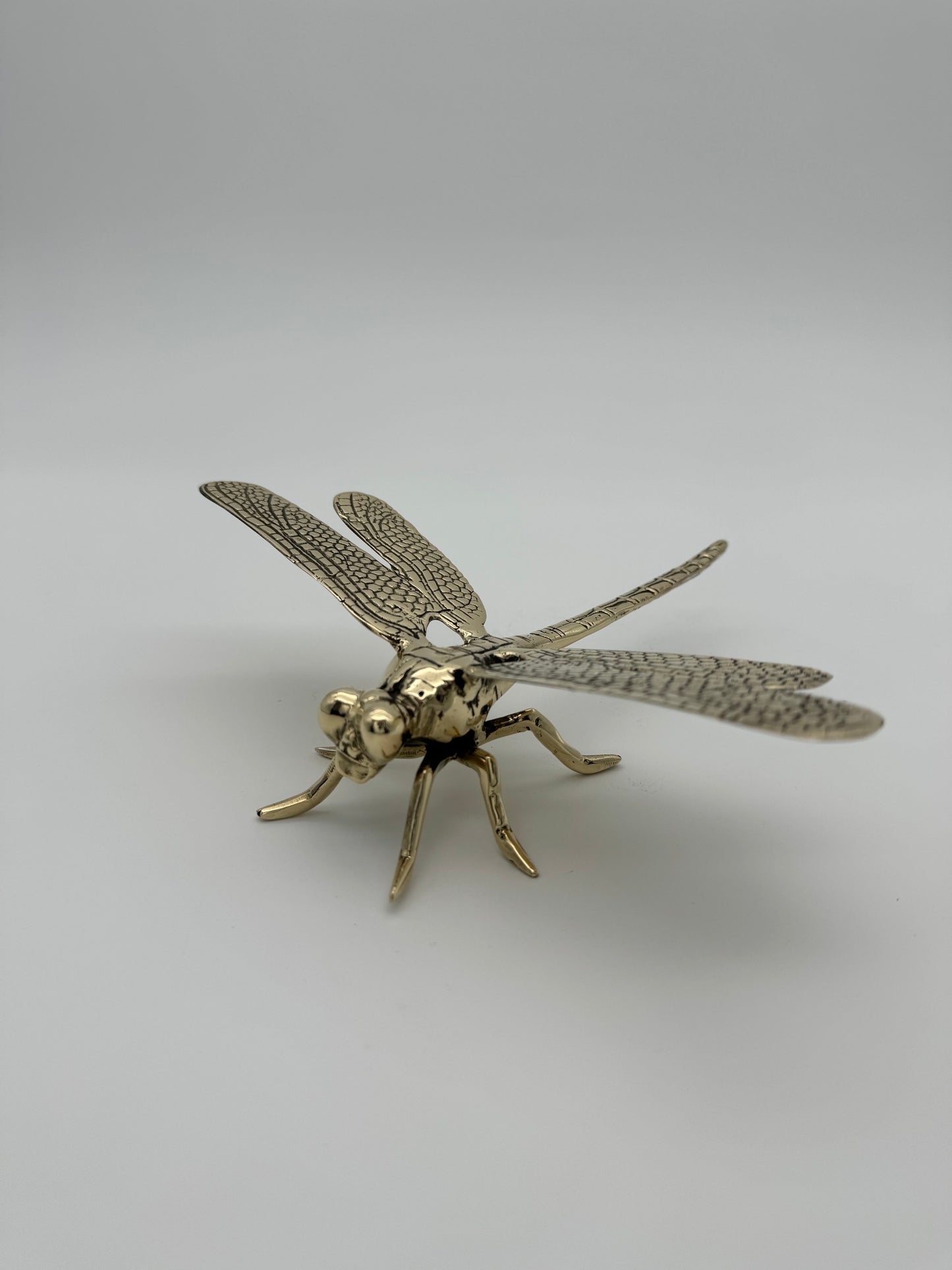 Dragonfly 18cm