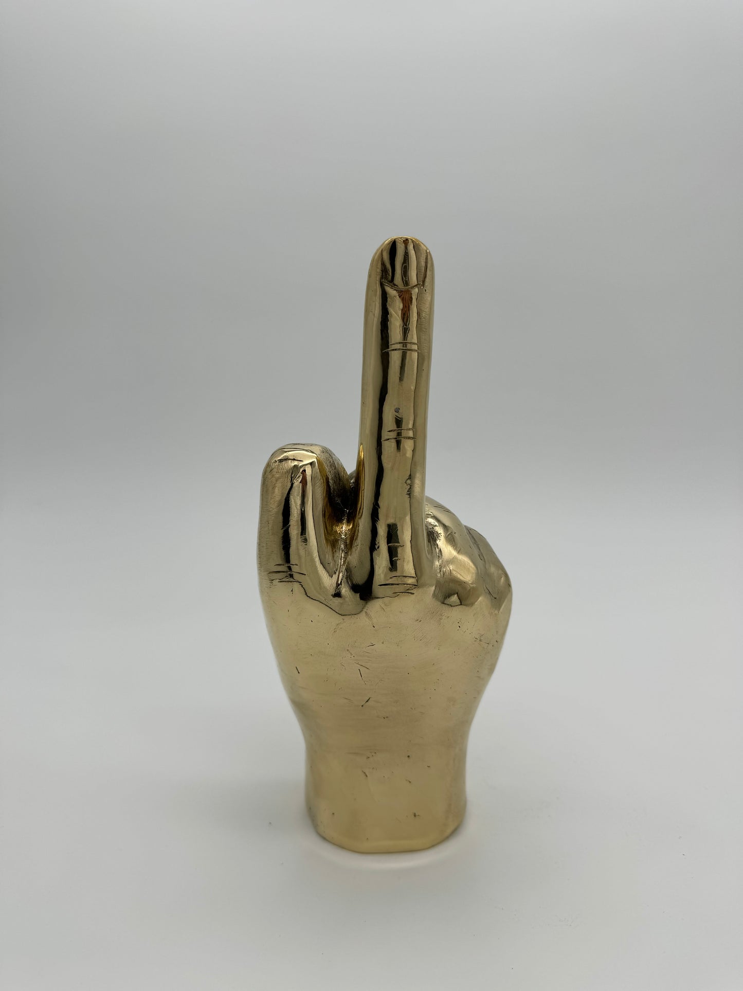 Middle Finger Hand 24cm