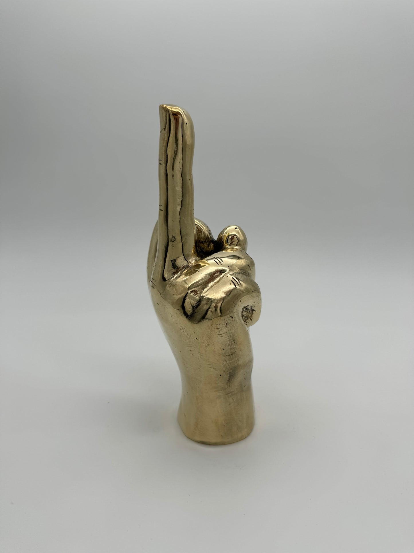 Middle Finger Hand 24cm