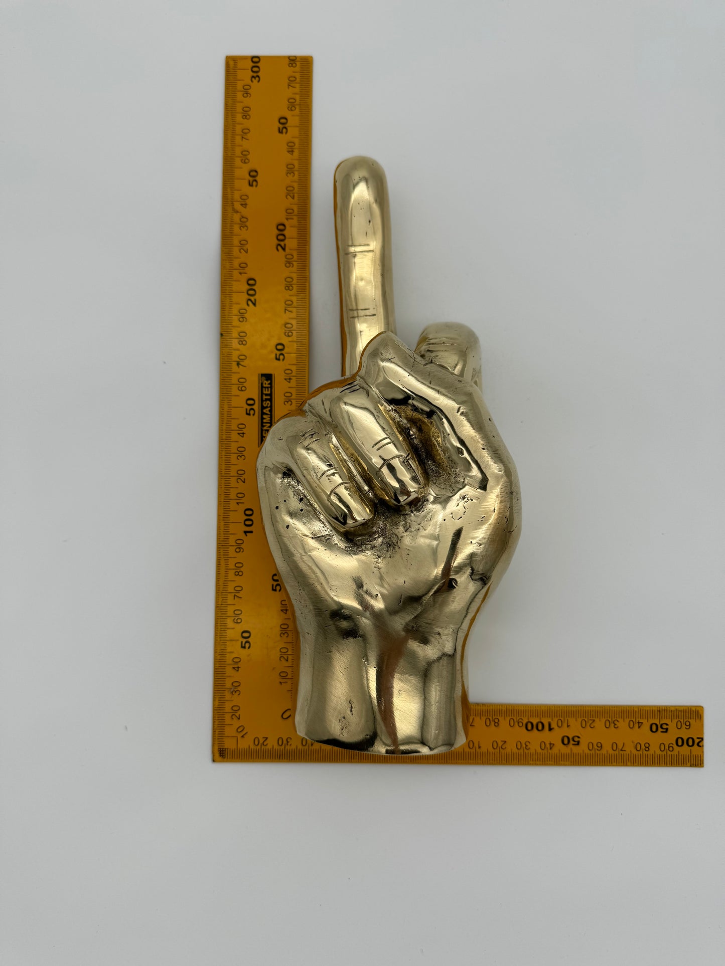Middle Finger Hand 24cm