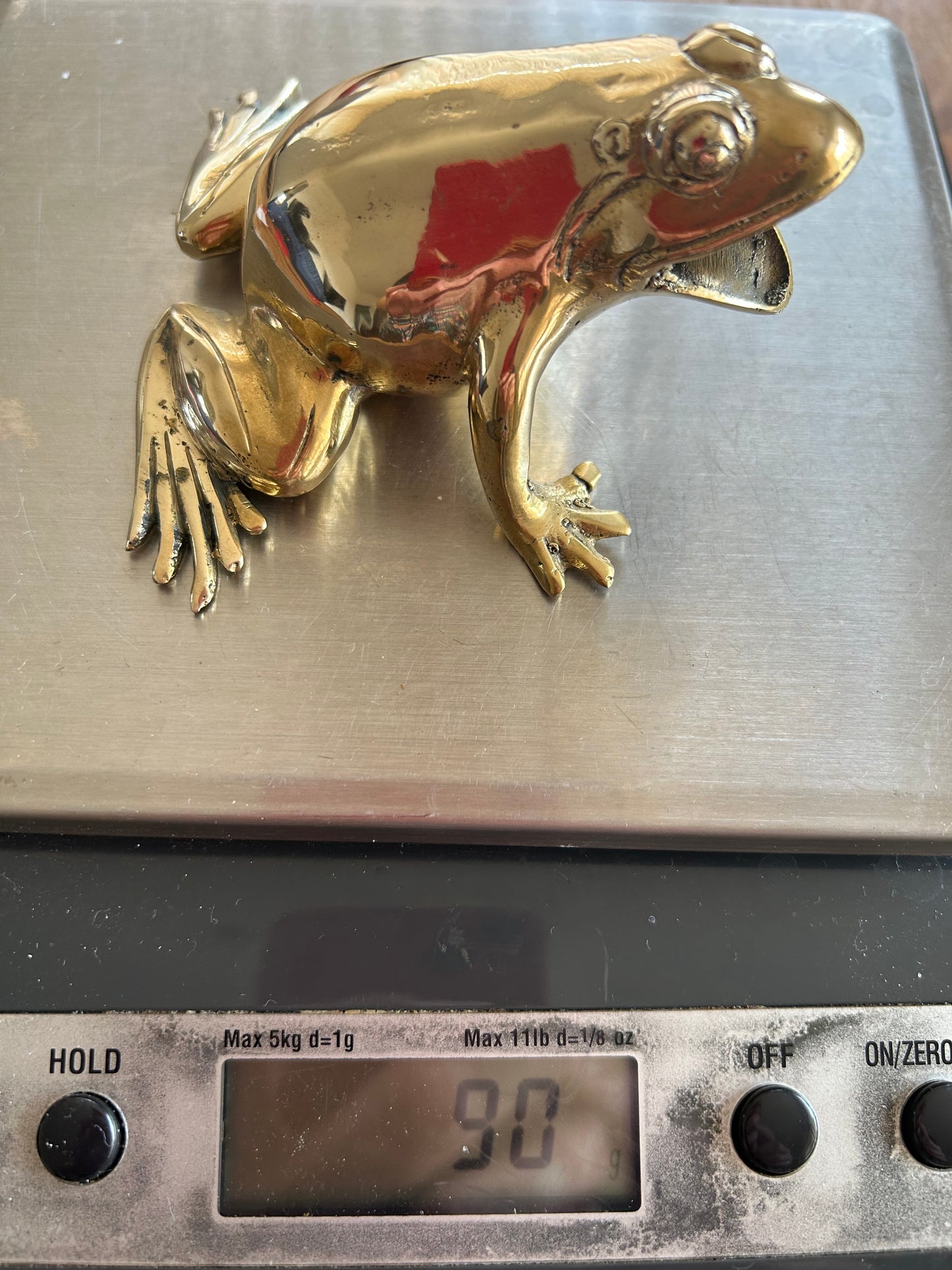 Frog with mouth open