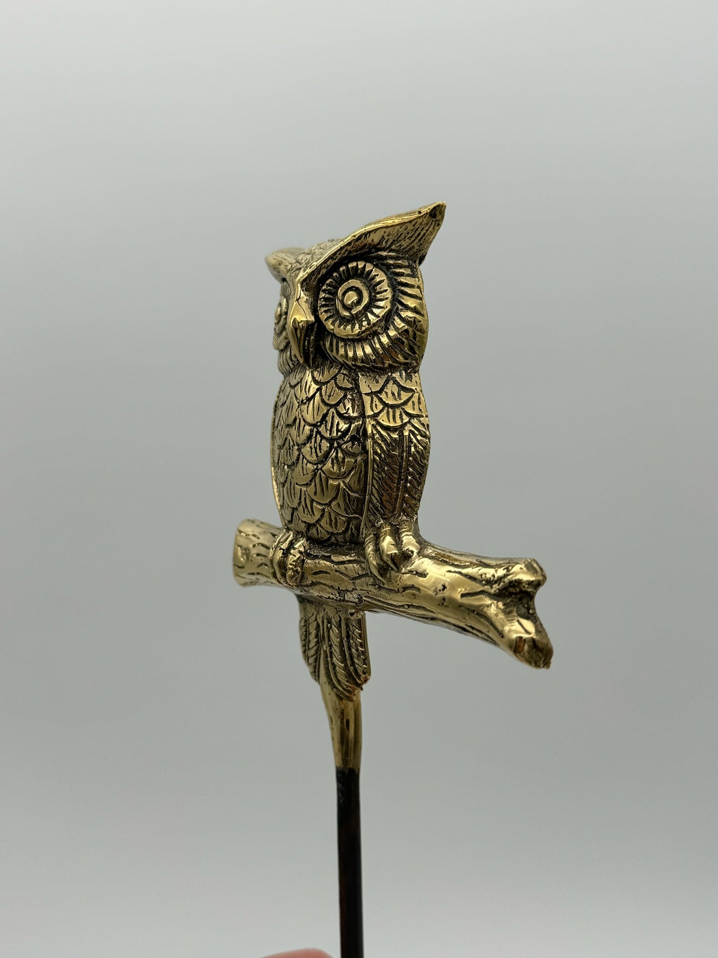 Owl on spike for Garden, Planter, Pot