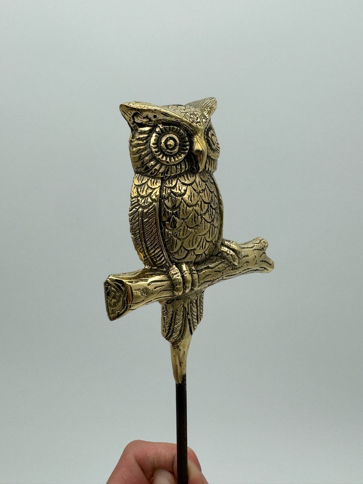 Owl on spike for Garden, Planter, Pot