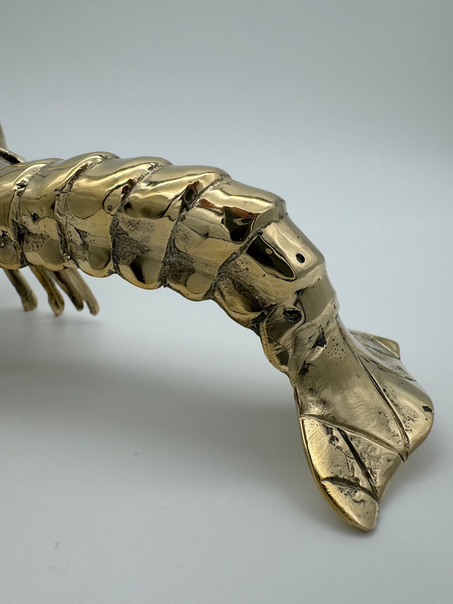 Big Claw Crayfish, Lobster 23cm