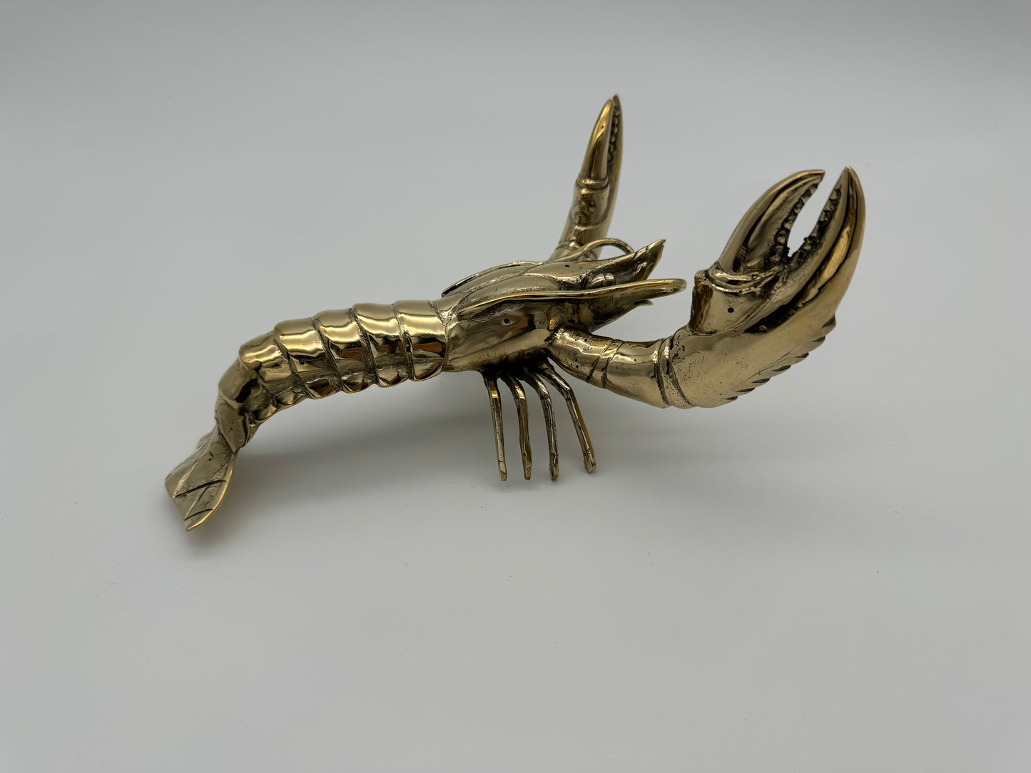 Big Claw Crayfish, Lobster 23cm