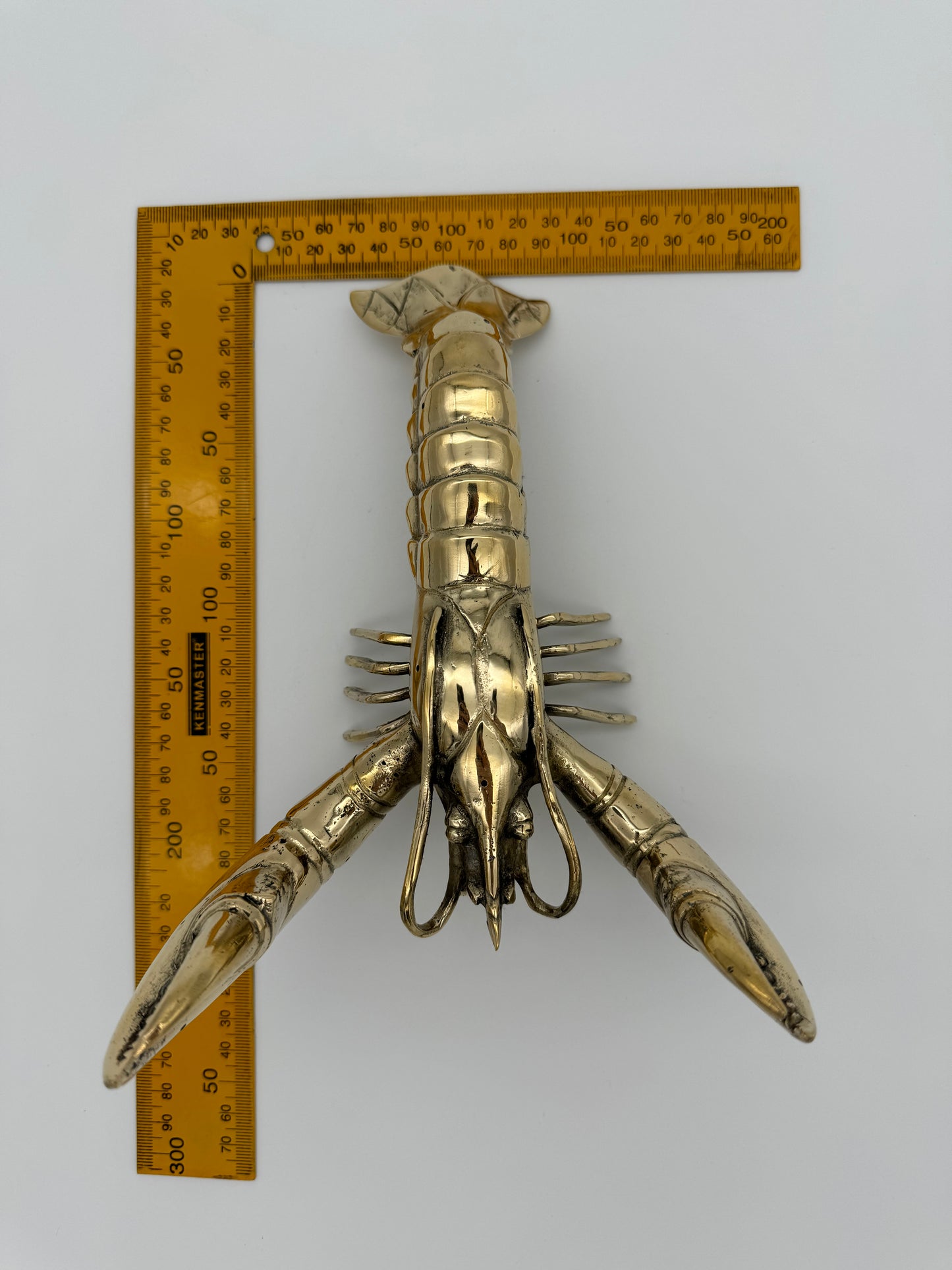 Big Claw Crayfish, Lobster 23cm