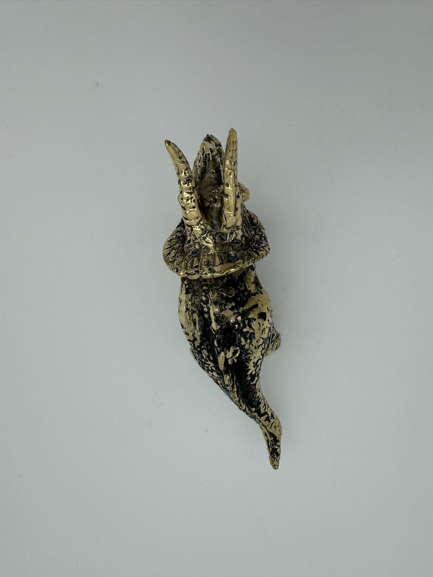 Triceratops horridus 15cm