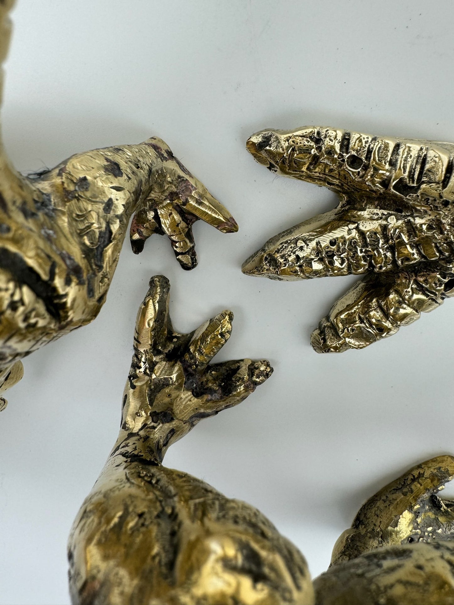 Tyrannosaurus Rex 20cm