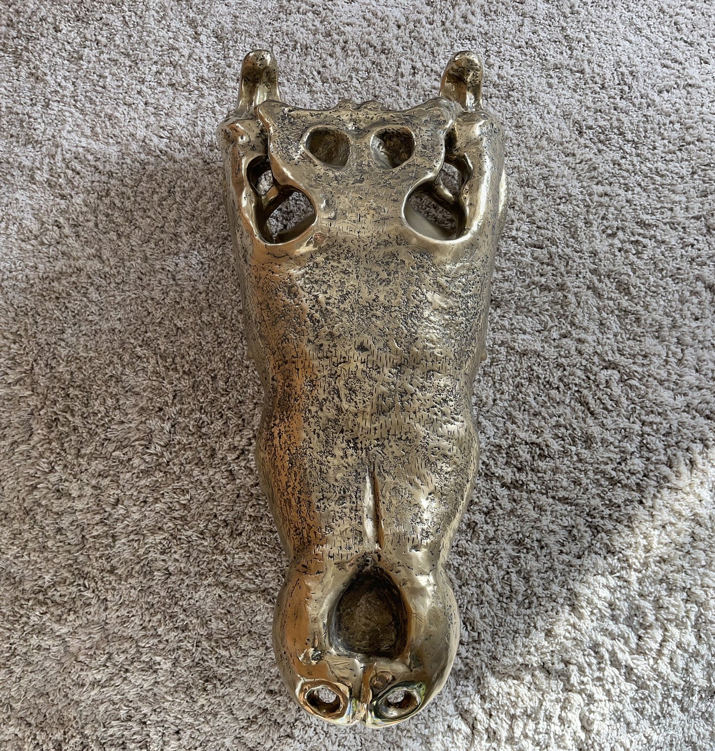 Crocodile Skull 100cm