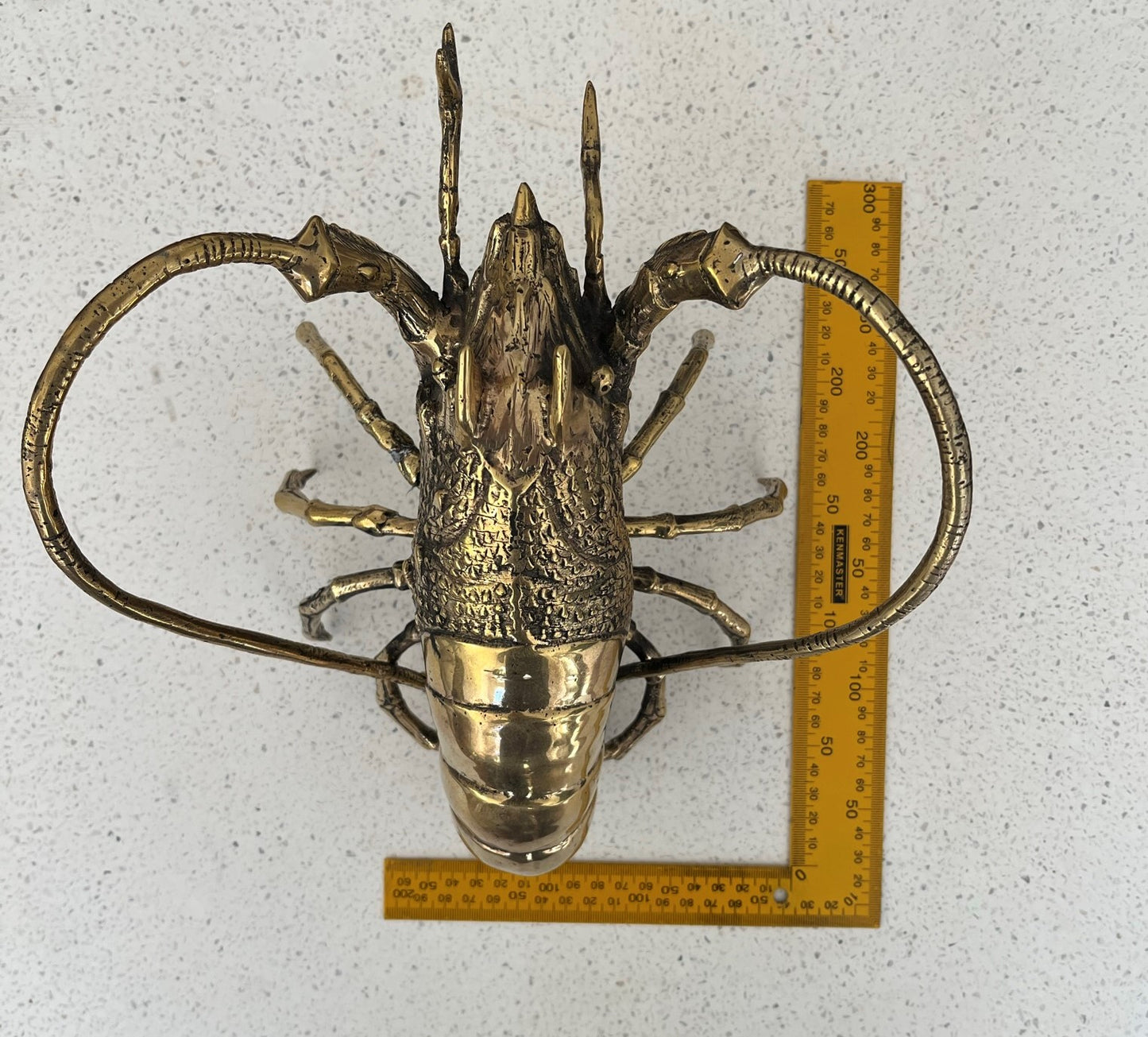 Western Rock Lobster