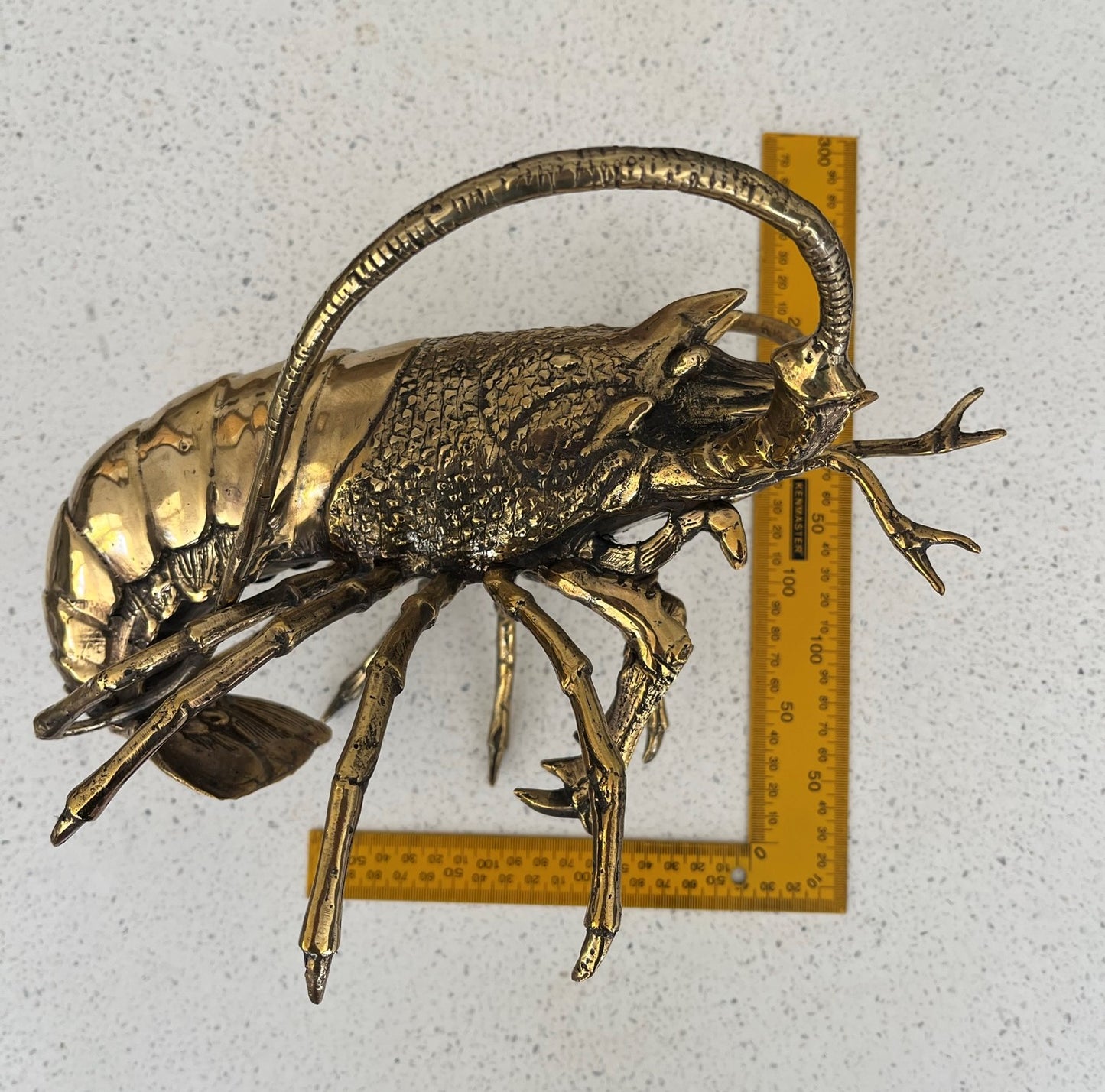 Western Rock Lobster