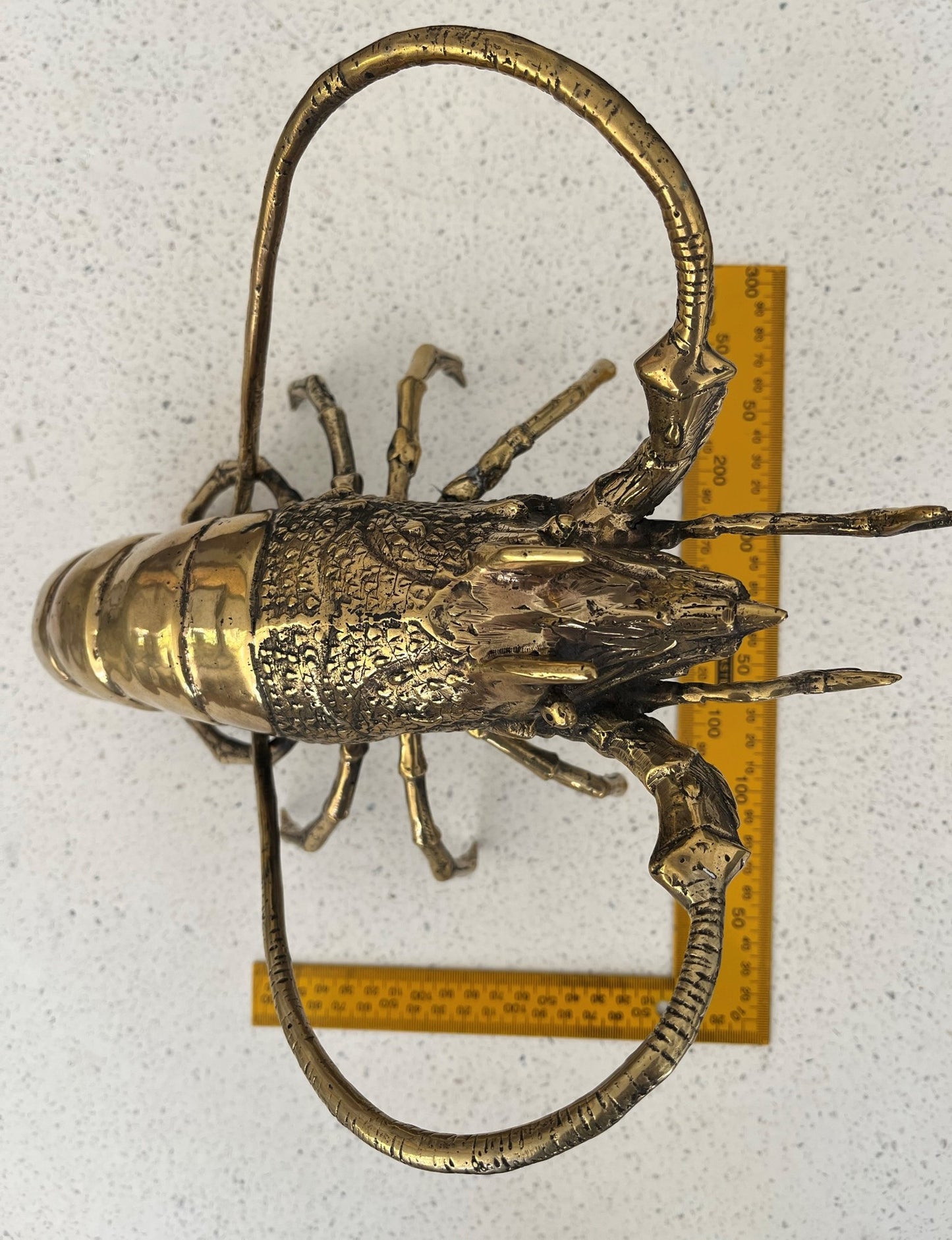 Western Rock Lobster