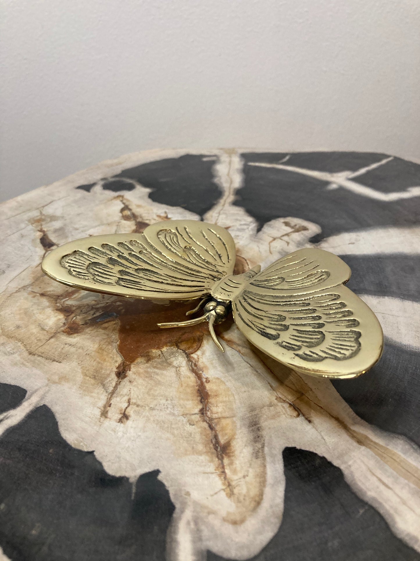 Butterfly Rounded Wings 13cm