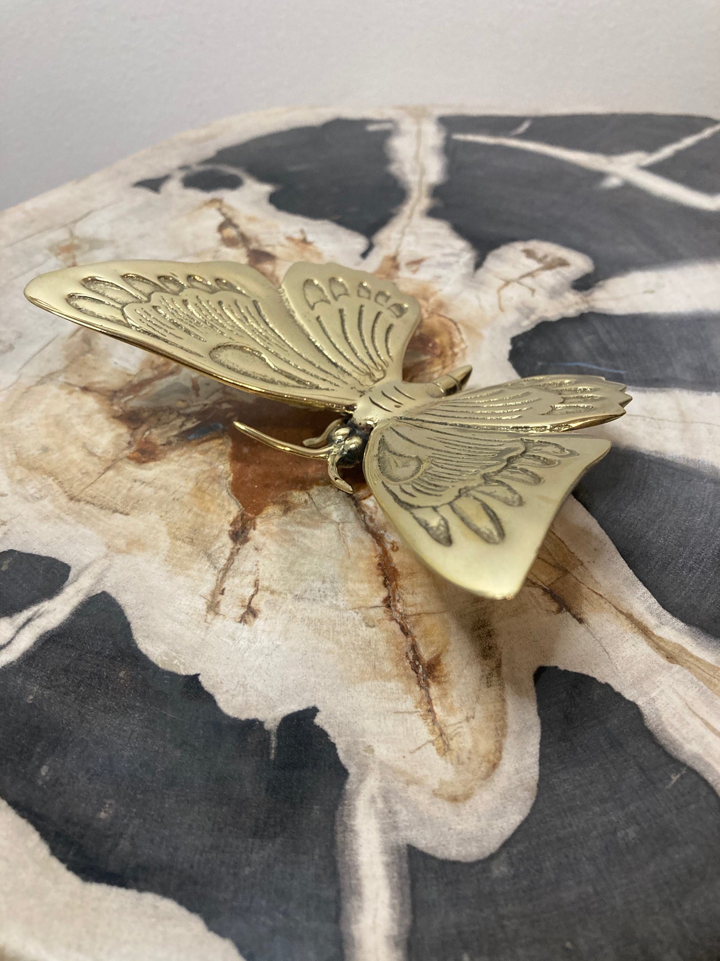 Butterfly Serrated Wings 13cm