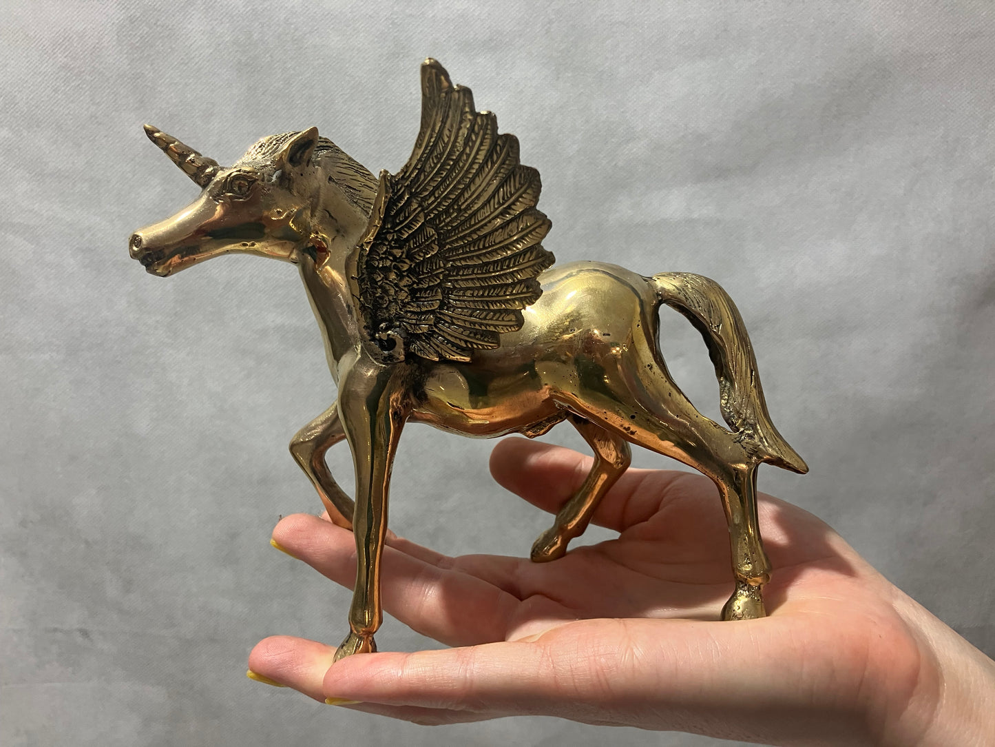 Unicorn with wings