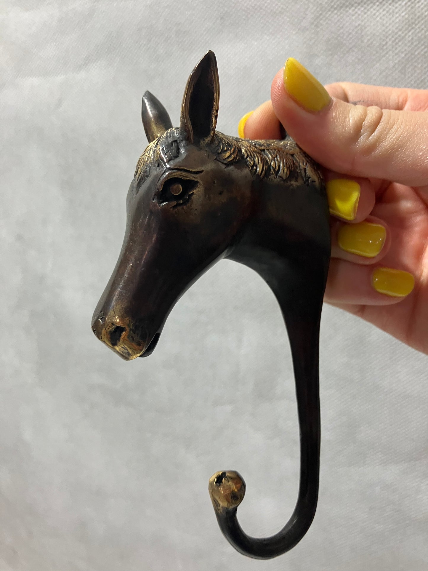 Horse Clothes, Towel, Robe Hook