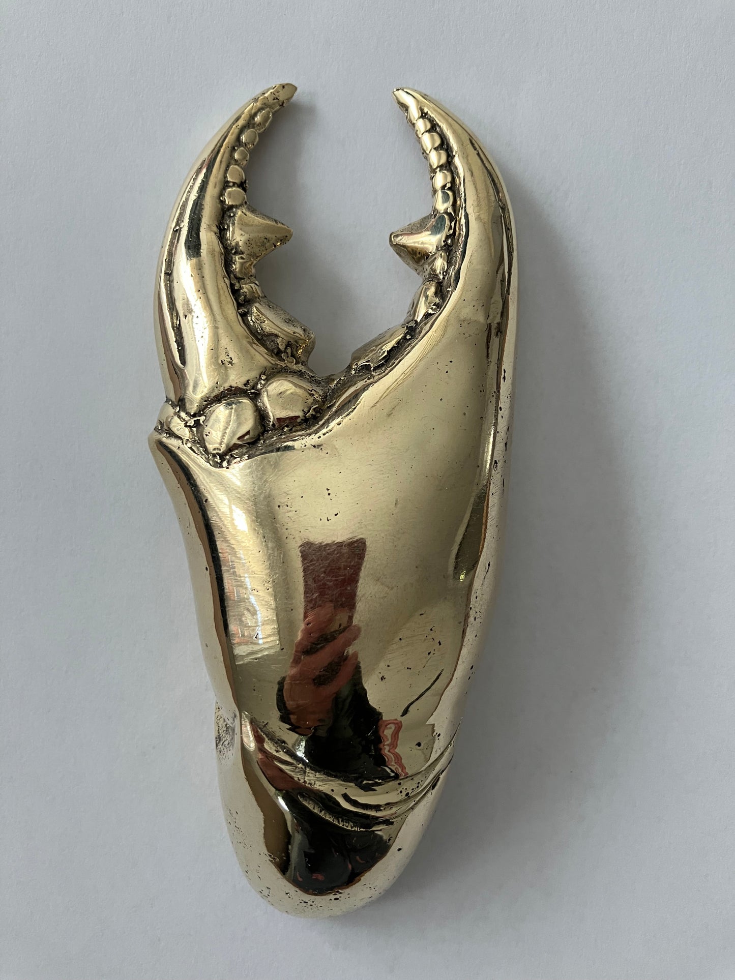 Crab Claw Bottle Opener