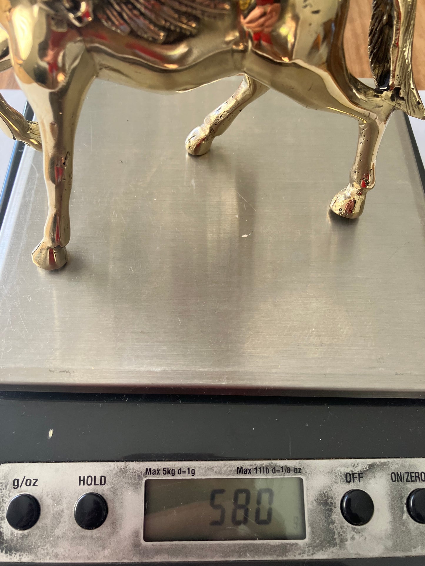Unicorn with wings