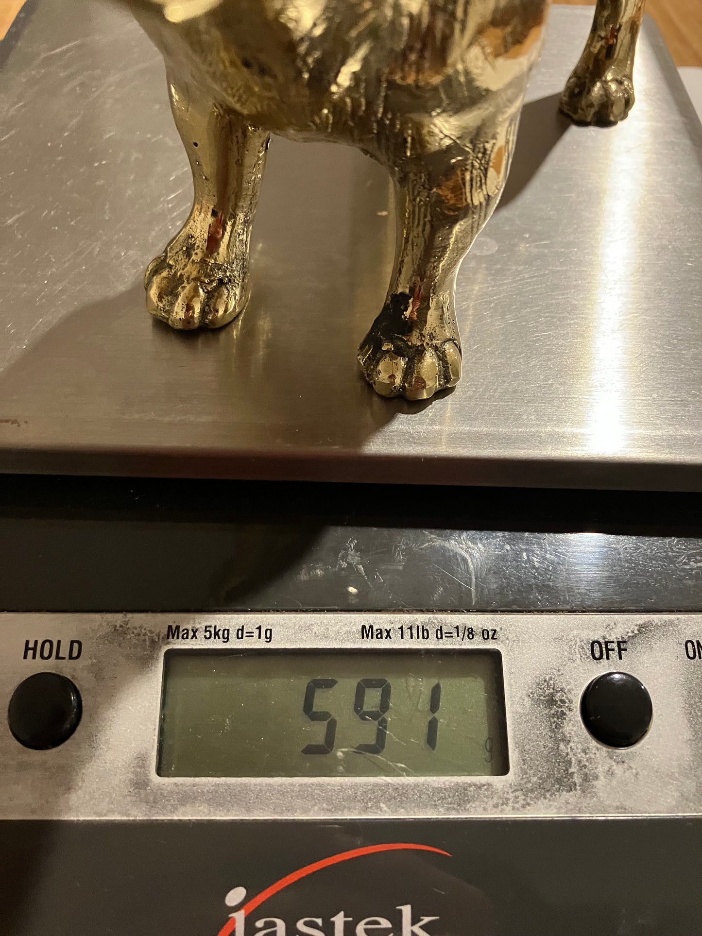 French Bulldog Frenchie standing