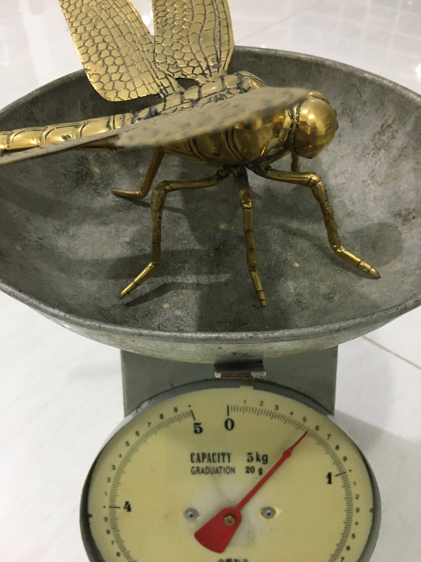 product image weight - Dragonfly statue (31cm) - Handmade in bronze