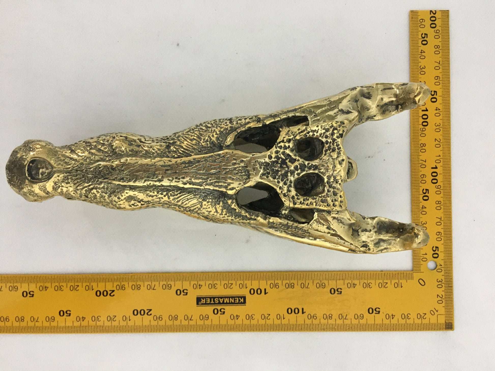 product image dimension 1 - Crocodile Skull/Head Statue (25cm) - Handmade in bronze