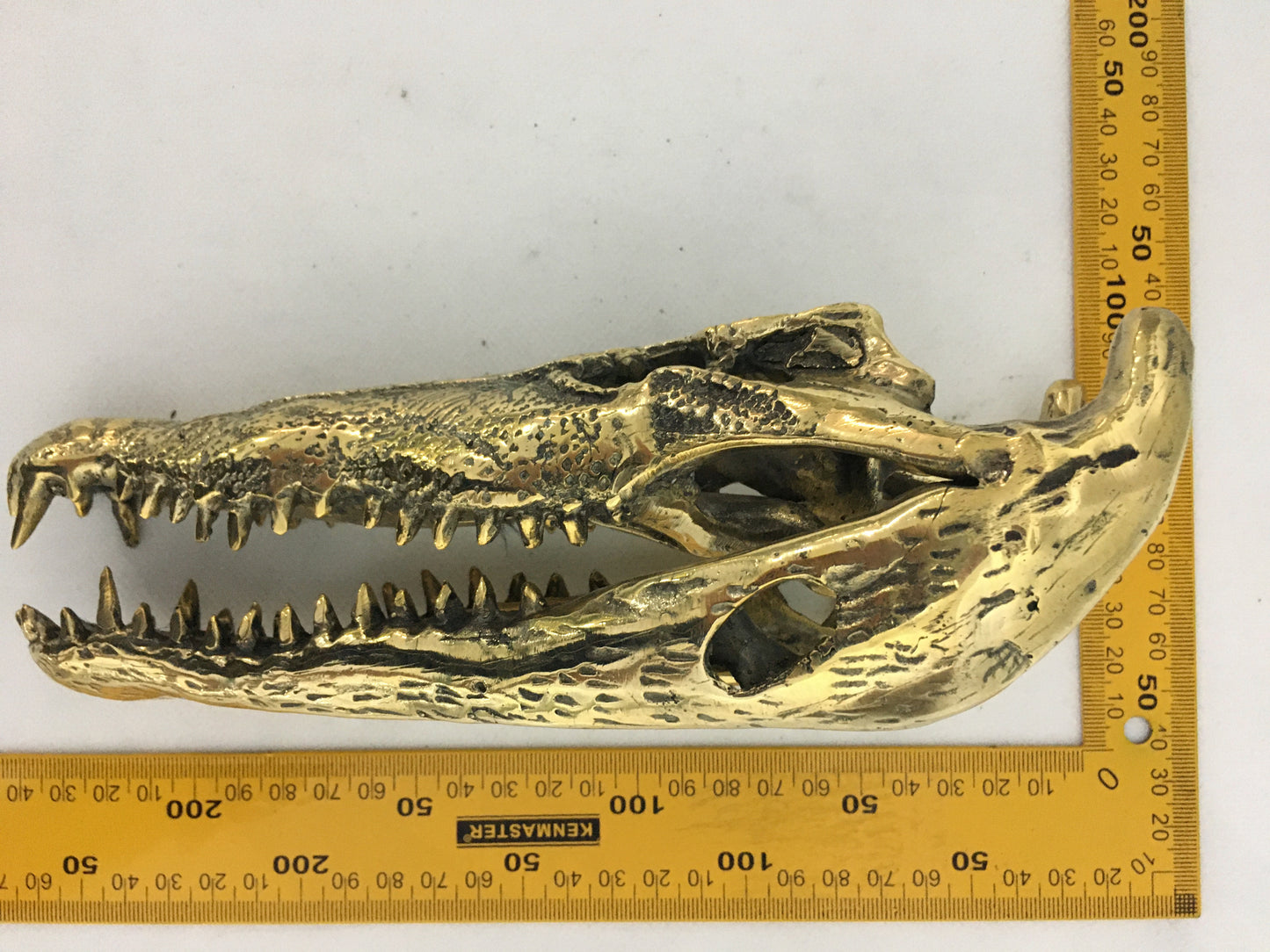 product image dimension 2 - Crocodile Skull/Head Statue (22cm) - Handmade in bronze
