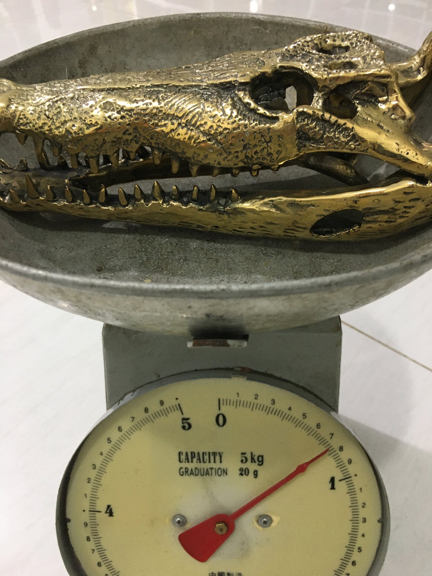 product image weight - Crocodile Skull/Head Statue (25cm) - Handmade in bronze