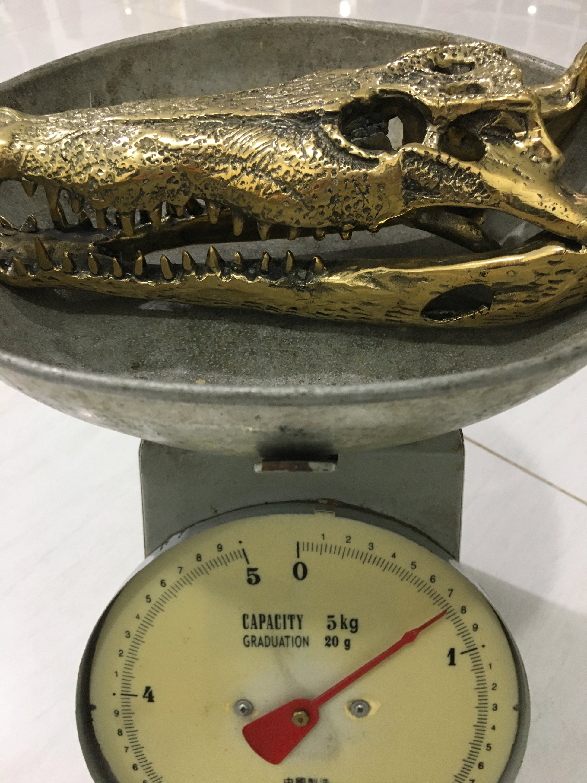 product image weight - Crocodile Skull/Head Statue (25cm) - Handmade in bronze
