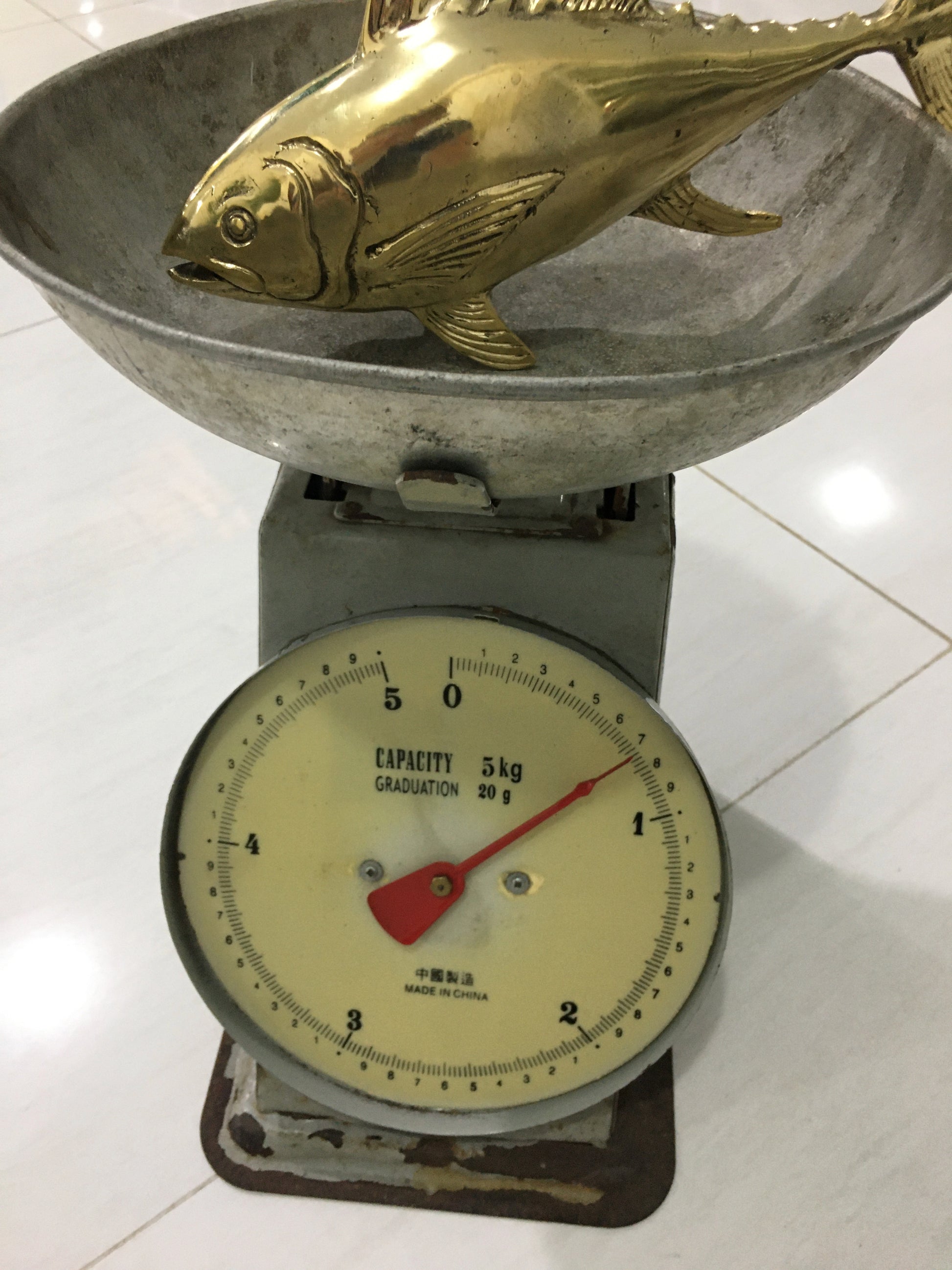 product image weight - Tuna (medium 23cm) - Handmade in bronze