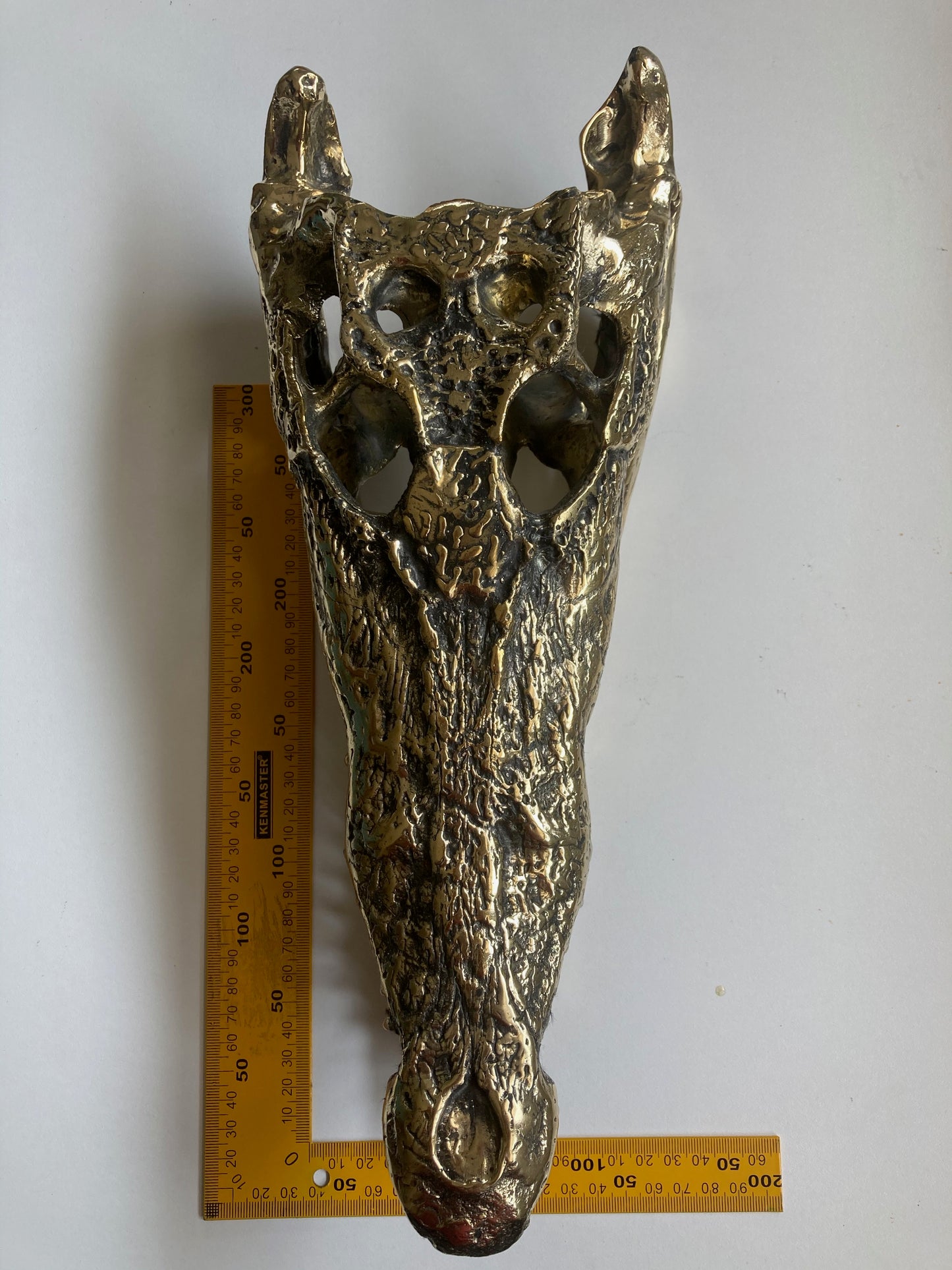 product image dimension 1 - Crocodile Skull/Head Statue (36cm) - Handmade in bronze