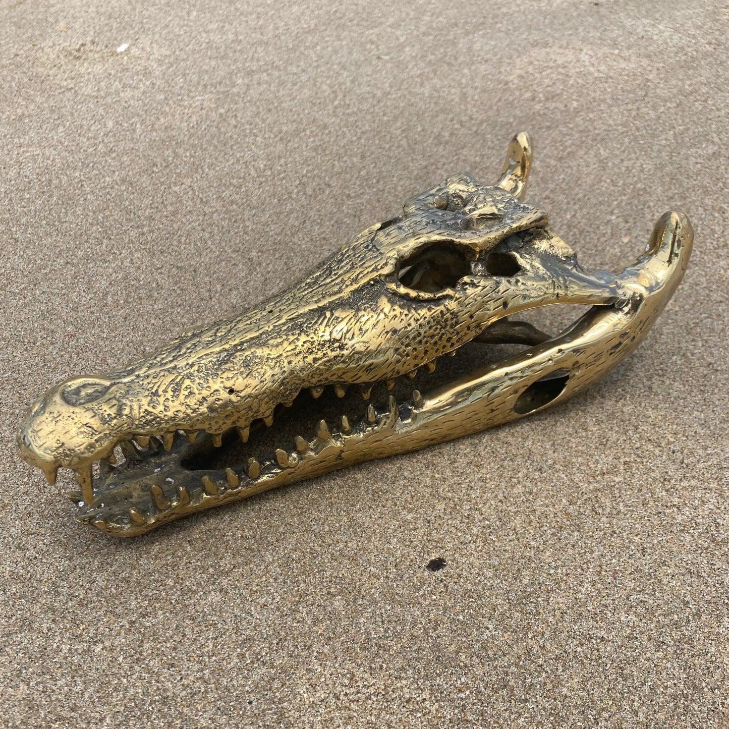 product image hero 1 - Crocodile Skull/Head Statue (25cm) - Handmade in bronze