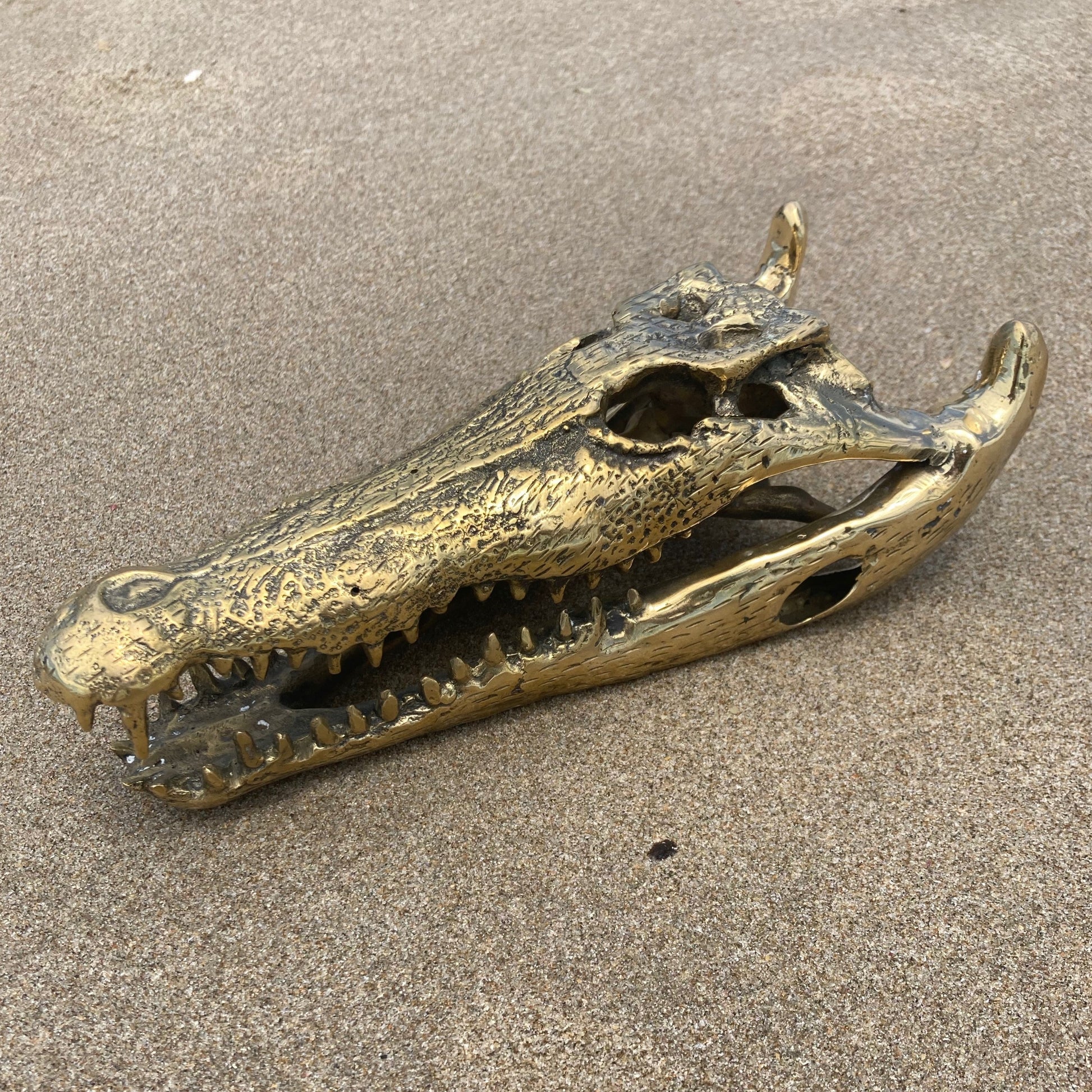 product image hero 1 - Crocodile Skull/Head Statue (36cm) - Handmade in bronze