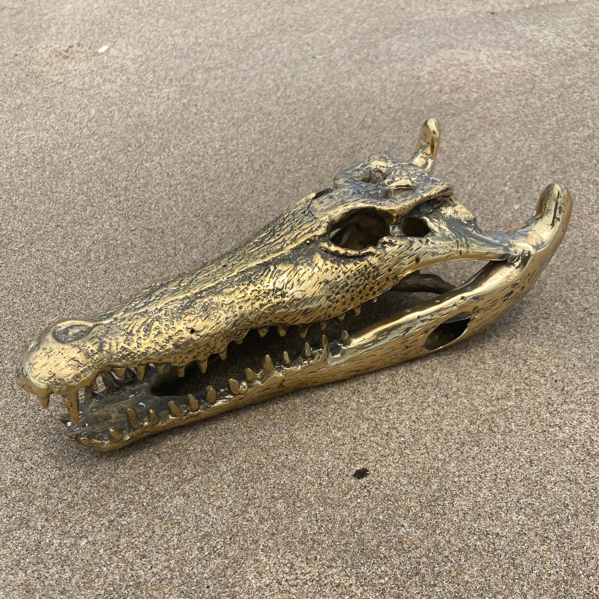 product image hero 1 - Crocodile Skull/Head Statue (50cm) - Handmade in bronze