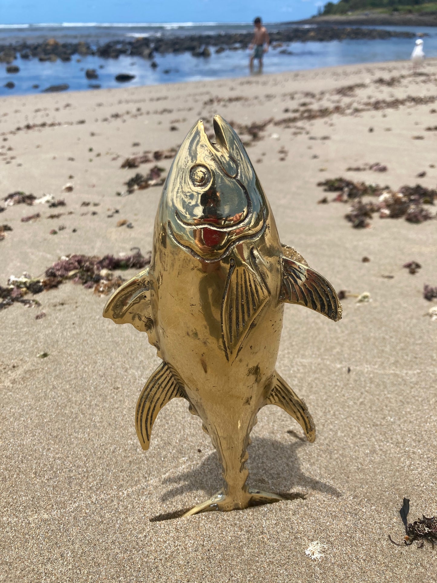 product image hero 1 - Tuna (medium 23cm) - Handmade in bronze