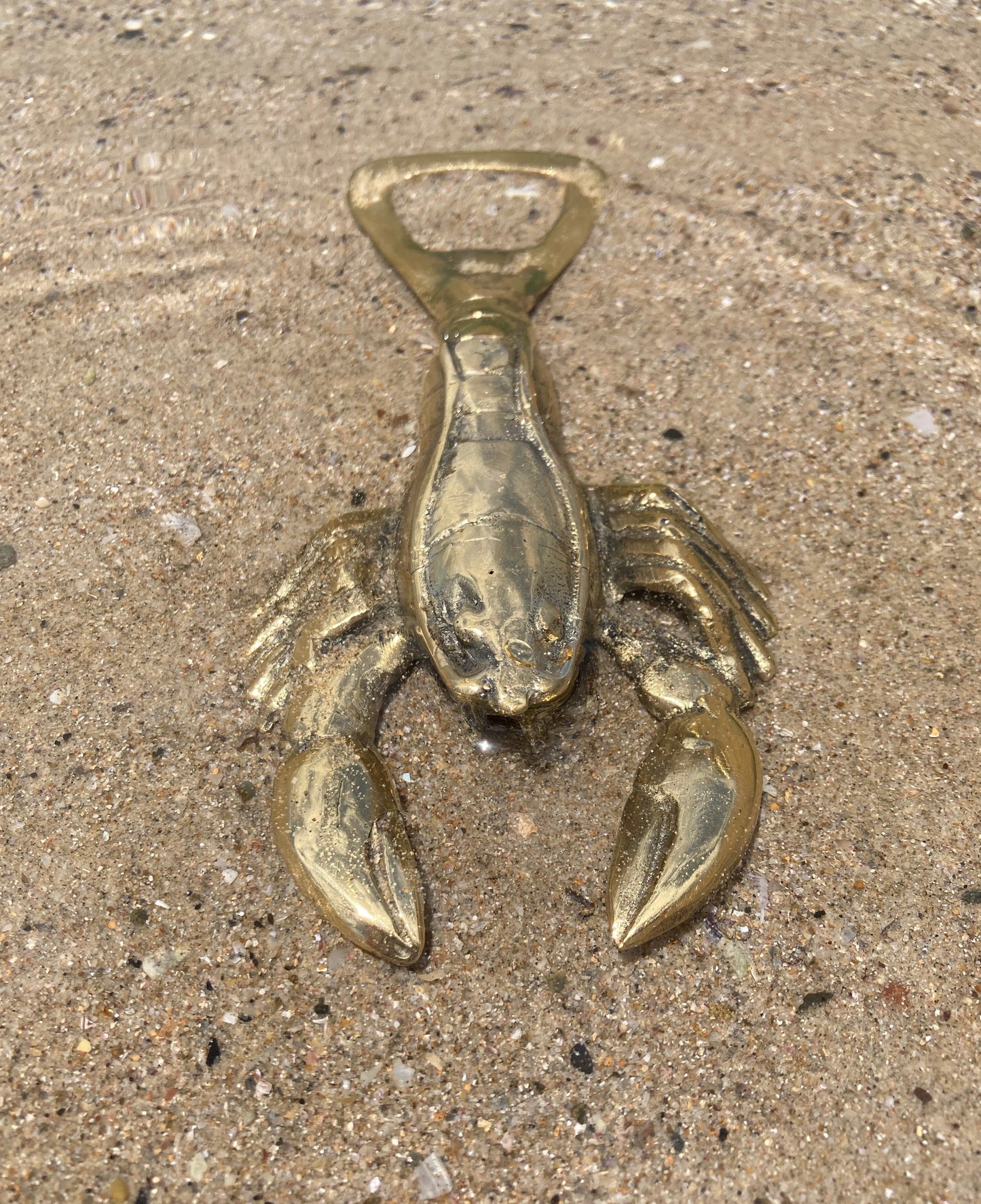 product image hero 2 - Crawfish | Crayfish | Lobster Bottle Opener - Handmade in bronze