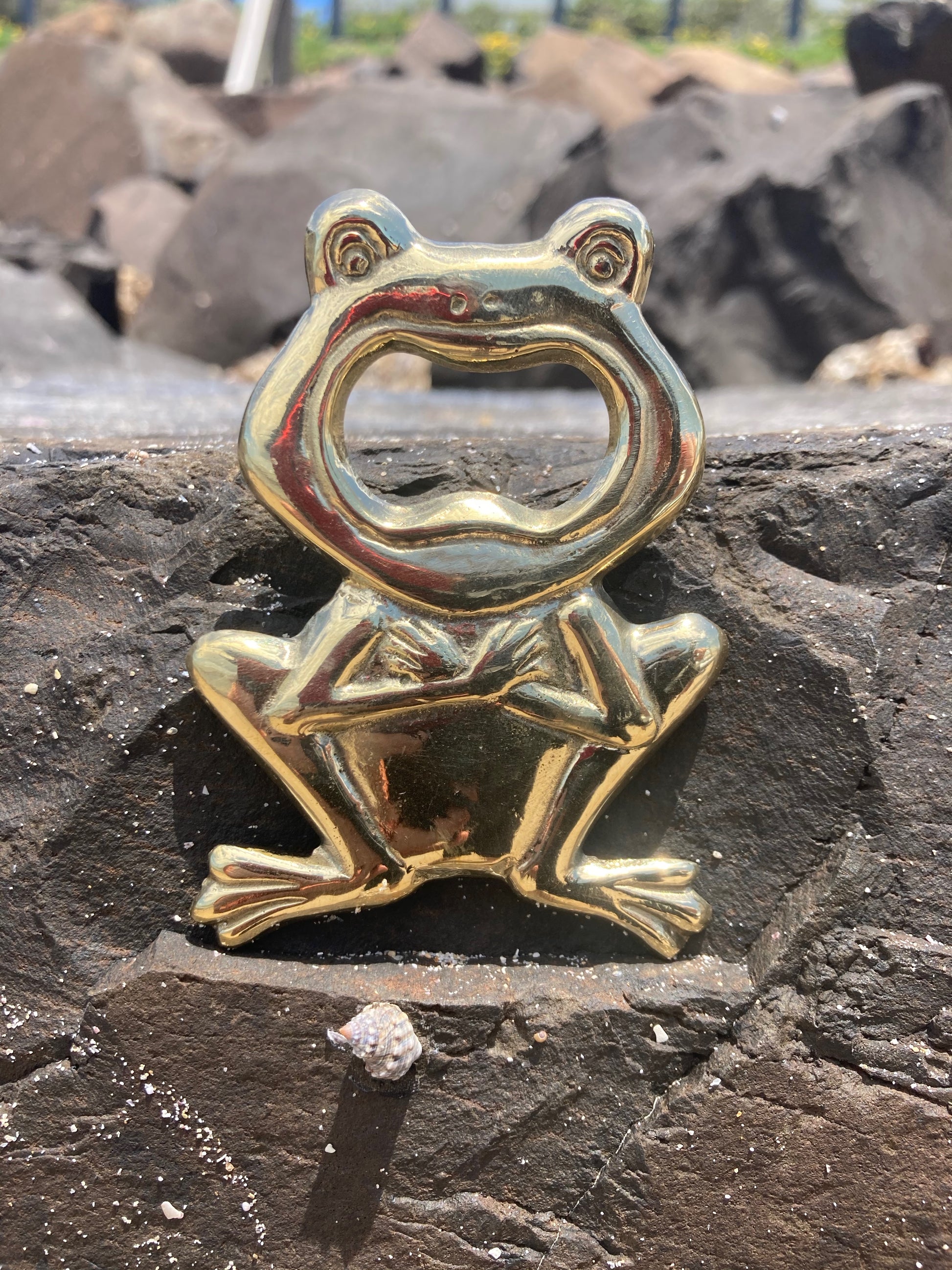 product image hero 1 - Frog Bottle Opener - Handmade in bronze