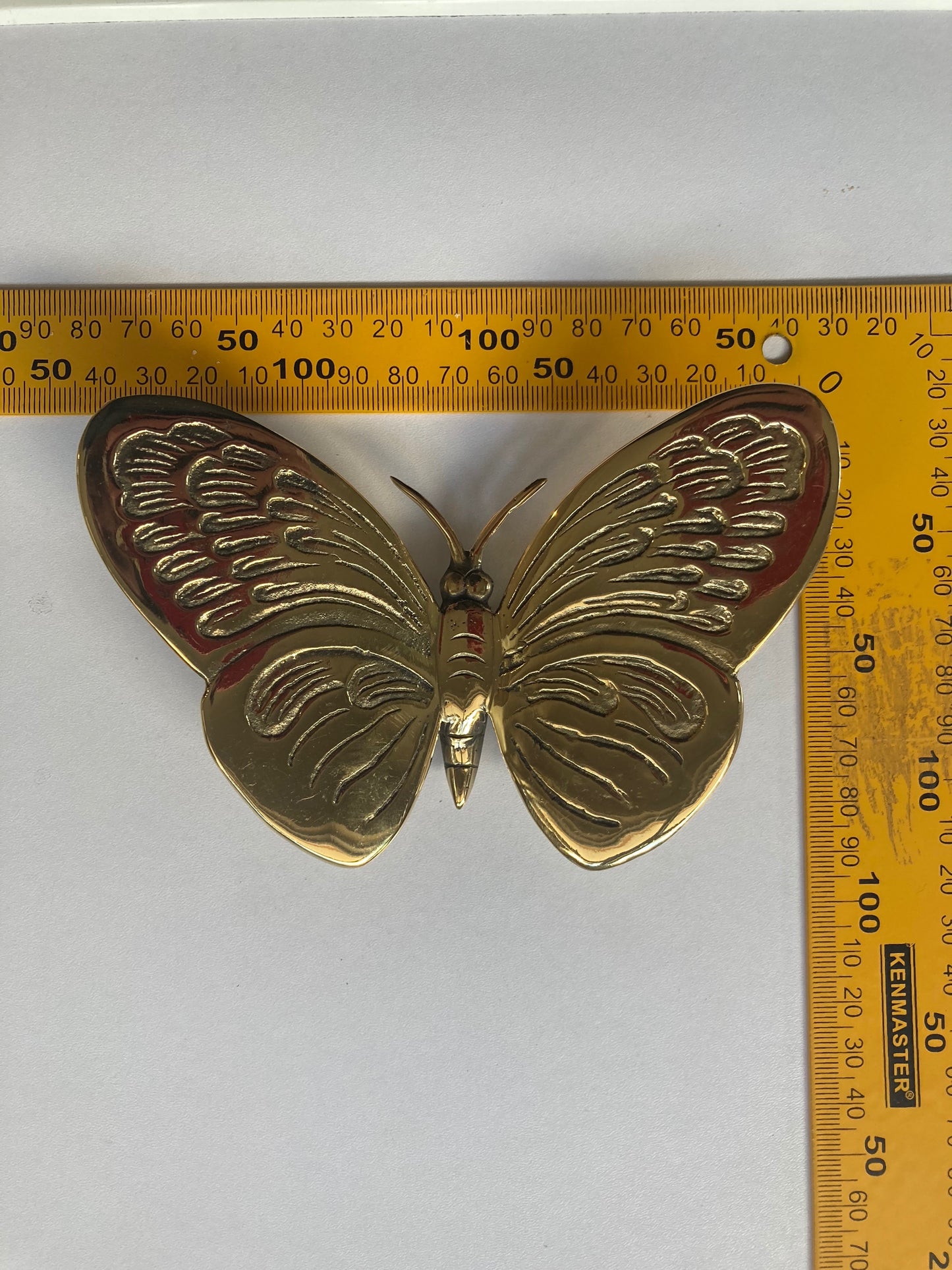 Butterfly Rounded Wings 13cm