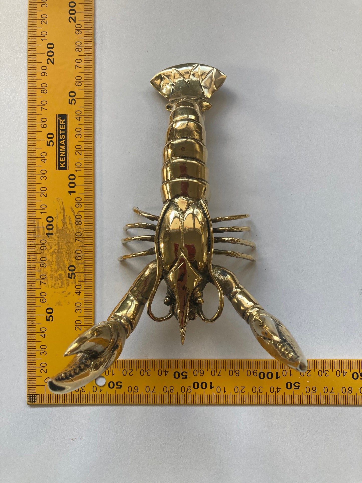Big Claw Crayfish, Maine Lobster, 17cm