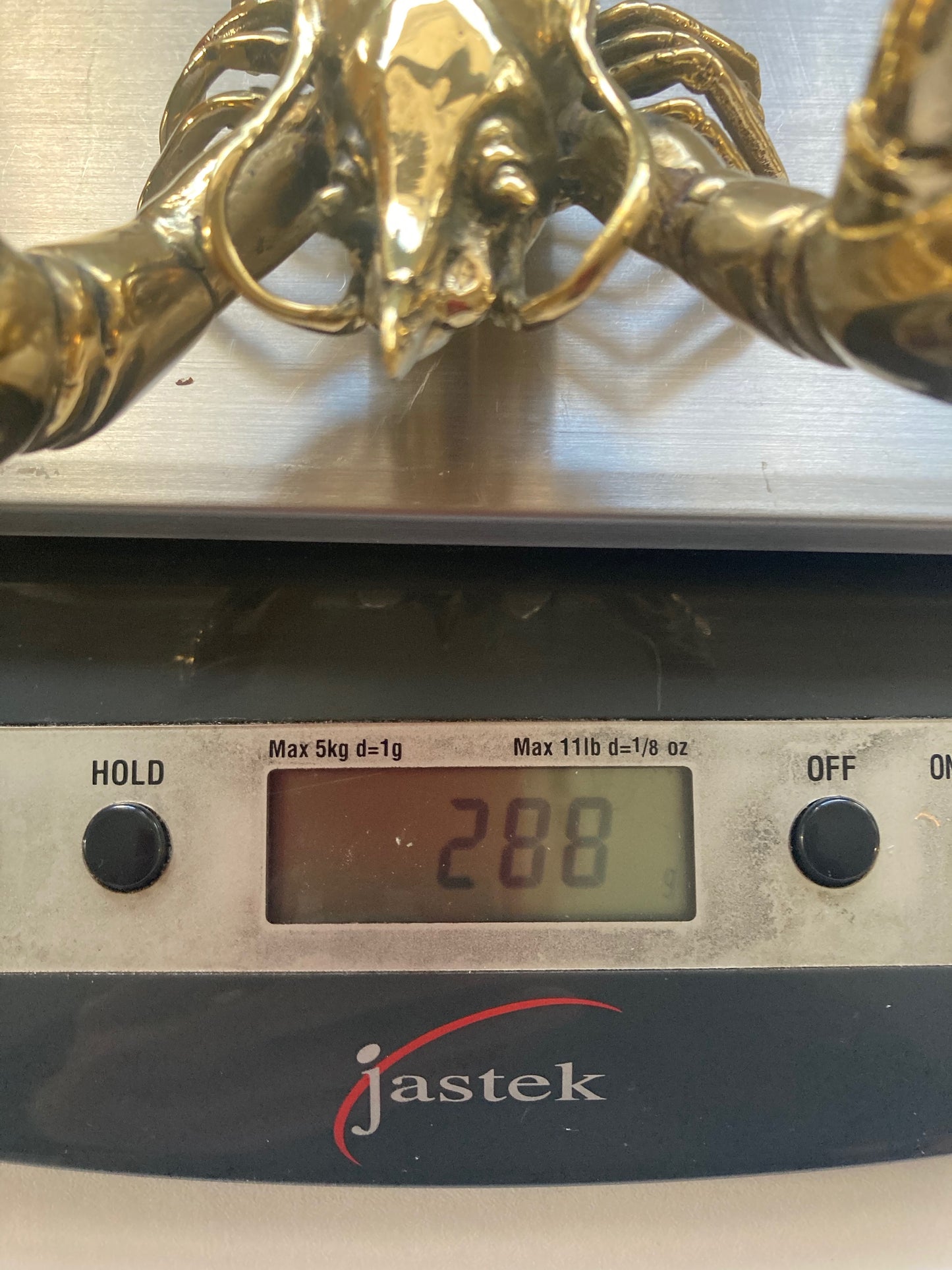 Big Claw Crayfish, Maine Lobster, 17cm